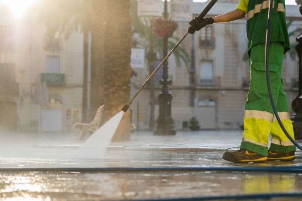 Best Driveway Pressure Washing  in Orange Beach, AL